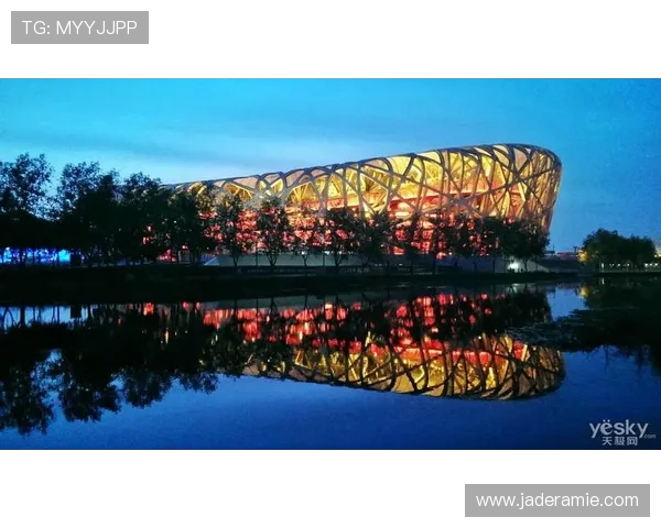 跳水运动的魅力与挑战探索:技术、心理与竞技融合的完美艺术