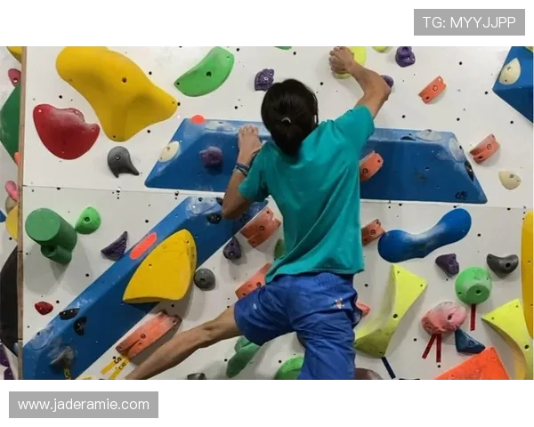 攀岩深度解析南京攀岩队防守策略与技巧的全面探讨